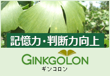 GINKGOLON/ギンコロン（記憶力・判断力向上素材）