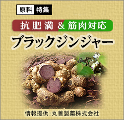 抗肥満素材としての可能性「ブラックジンジャー」