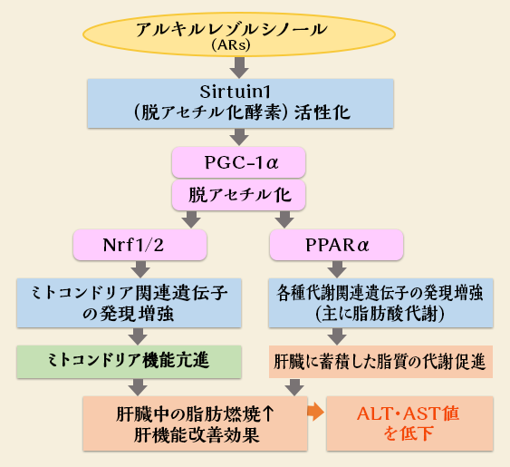 多様な活用方法