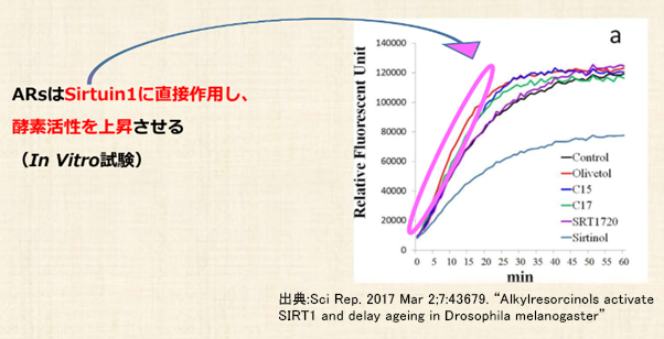 活性化のグラフ