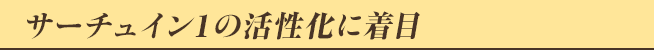 サーチュイン1の活性化に着目