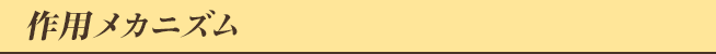 作用メカニズム