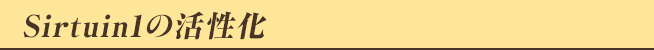 Sirtuin1の活性化