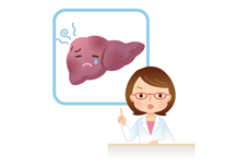 肝臓のイラスト