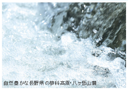 蓼科工場は化粧品の製造には欠かせないきれいな水が豊富な自然豊かな長野県の蓼科高原・八ヶ岳山麓にあります