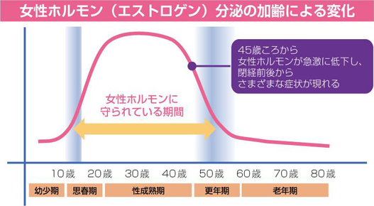 女性ホルモン（エストロゲン）分泌の加齢による変化