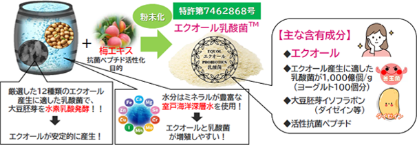 エクオールの製造プロセス