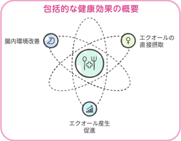 エクオール乳酸菌の3つの作用