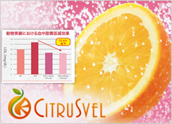 CITRUSVEL（シトラスエキス末）