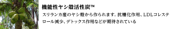 機能性ヤシ殻活性炭