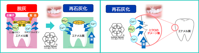 再石灰化の仕組み