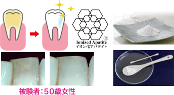 吸着試験の試験結果