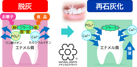 脱灰と再石灰化の仕組み