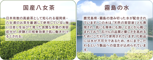 国産八女茶
                            
                            日本有数の高級茶として知られる福岡県・八女産のお茶を厳選して使用している。強い日差しを浴びて育った良質な茶葉の美容成分が、炭酸との相乗効果で肌に働きかけるとされる。
                            
                            霧島の水
                            鹿児島県・霧島の澄み切った水が配合されています。この水は「天然の美容液」とも表現され、肌にも身体にも良いと古くから親しまれており、石けんの品質と優しさを高めるためにこだわって使用されています。化粧品には水が不可欠であるため、水にまでこだわるという製品への信念が込められています。