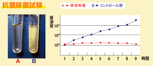 抗菌除菌試験の表