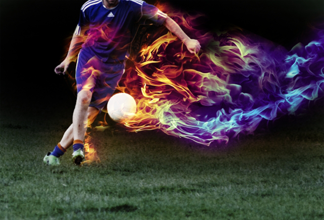 植物性ナノ型乳酸菌SNKの菌種、菌数、原産地をまとめた表