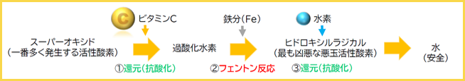 無毒化の工程