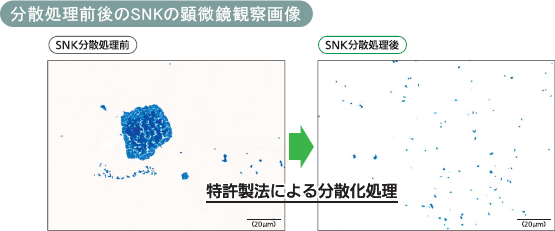 分散処理前後のSNKの顕微鏡観察画像