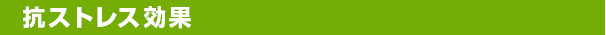 抗ストレス効果