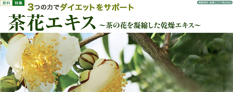 厳選茶花から抽出の抗肥満サポート素材「茶花エキス」