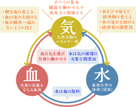 エネルギーの体内循環の図