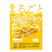まるごとタモギタケ 株式会社エル・エスコーポレーション