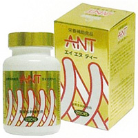 ANT　株式会社シンギー