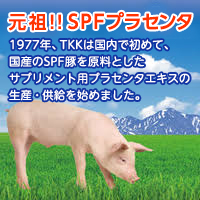 東洋酵素化学株式会社 TKKのSPFプラセンタエキス