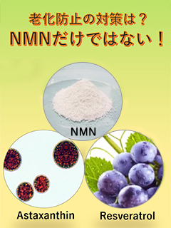 NMNを活用した老化防止対策サプリメントOEM