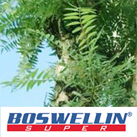 ボスウェリン®スーパー（Boswellin®SUPER）　株式会社サビンサ ジャパン コーポレーション