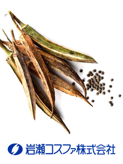 完熟オクラシード®（オクラ種子抽出乾燥粉末）