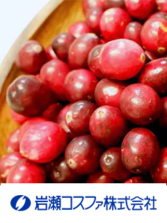 CranPure F®（クランベリー抽出物）