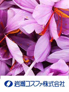 Safr’Inside™（サフリンサイド）