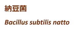 納豆菌　Bacillus subtilis natto 50億cfu/g  ［コーシャー、ハラル対応素材］