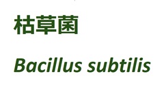 枯草菌　Bacillus subtilis 50億cfu/g  ［コーシャー、ハラル対応素材］