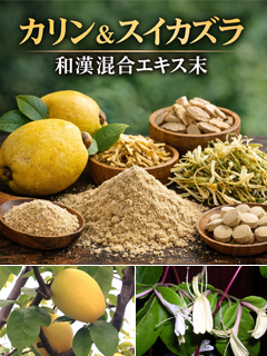 カリン・スイカズラ混合抽出エキス末