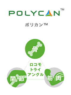 Polycan（ポリカン）　黒酵母（アウレオバシジウム）培養液　株式会社ヘルシーナビ