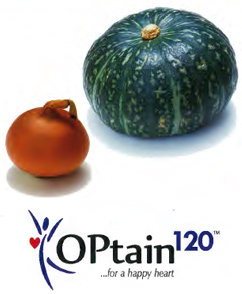 オニオン・パンプキンエキス末 OPtain120® （オプテイン120）