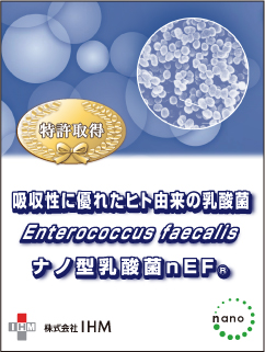 ナノ型乳酸菌nEF（殺菌）