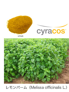 Cyracos®（シラコス）　兼松ケミカル株式会社