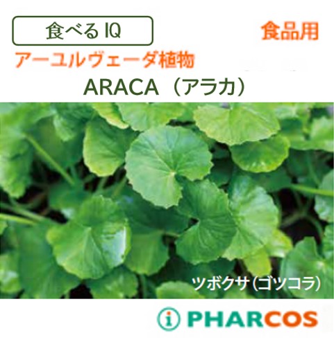 一丸ファルコス株式会社 ツボクサ抽出物「ARACA（アラカ）」