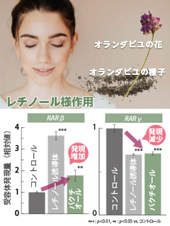 バクチオールピュアプラス［植物レチノール化粧品原料］