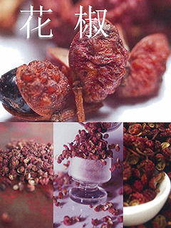 花椒（カショウ） / Sichuan Pepper CO2 Extract (シチュアンペッパー）