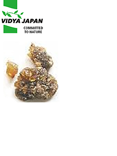 ボスウェリア セラータエキス粉末 ［Boswellia serrata］　ヴィディヤジャパン株式会社（Vidya Japan K.K.）