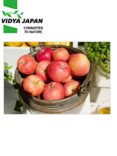 アップルエキス粉末 ［Apple］　ヴィディヤジャパン株式会社（Vidya Japan K.K.）