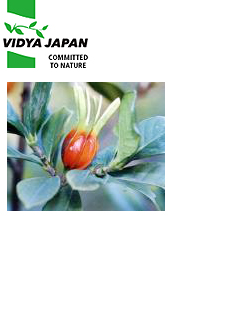 クチナシエキス粉末 ［Gardenia］　ヴィディヤジャパン株式会社（Vidya Japan K.K.）