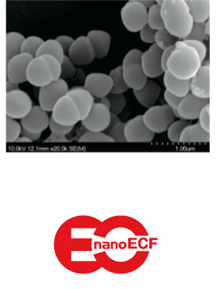 乳酸菌nanoECF　株式会社ブロマ研究所