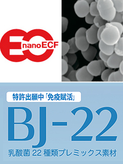 乳酸菌nanoECF、BJ-22（乳酸菌22種類プレミックス素材）【 OEM製造 】　株式会社ブロマ研究所