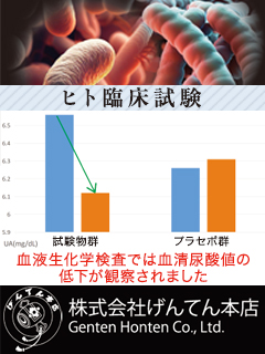 乳酸菌 LM-GH70