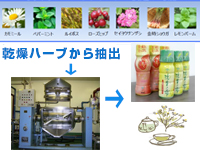 ハーブの組み合わせ・配合量＆香料不使用でドリンク製造が可能